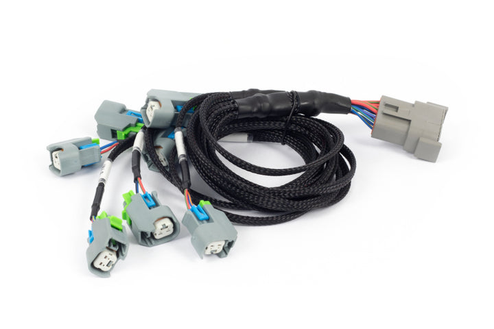 Haltech NEXUS Rebel LS EV6 Injector Sub-Harness (Plug-n-Play w/HT-186500) - Premium Wiring Harnesses from Haltech - Just 506.48 SR! Shop now at Motors