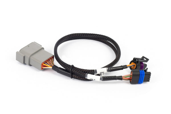 Haltech NEXUS Rebel LS Cable Throttle & IAC Sub-Harness (Plug-n-Play w/HT-186500) - Premium Wiring Harnesses from Haltech - Just 105.05 SR! Shop now at Motors