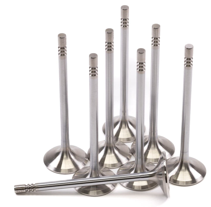 GSC P-D Ford Mustang 5.0L Coyote Gen 1/2 32.75mm Head (+1mm) Chrome Polish Exhaust Valve - Set of 8 - Premium Valves from GSC Power Division - Just 680.07 SR! Shop now at Motors