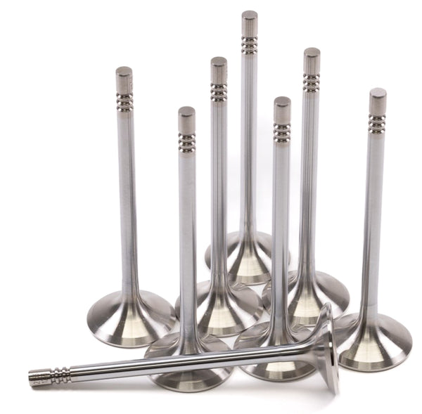 GSC P-D Ford Mustang 5.0L Coyote Gen 1/2 32.75mm Head (+1mm) Super Alloy Exhaust Valve - Set of 8 - Premium Valves from GSC Power Division - Just 1099.67 SR! Shop now at Motors