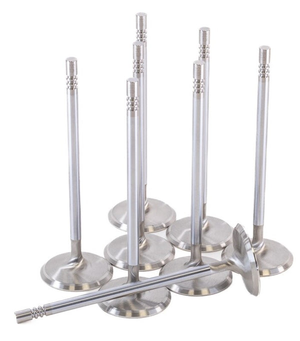 GSC P-D Ford Voodoo/Predator 38.26mm Head STD 121.13mm Long Chrome Polished Intake Valve - Set of 8 - Premium Valves from GSC Power Division - Just 824.27 SR! Shop now at Motors