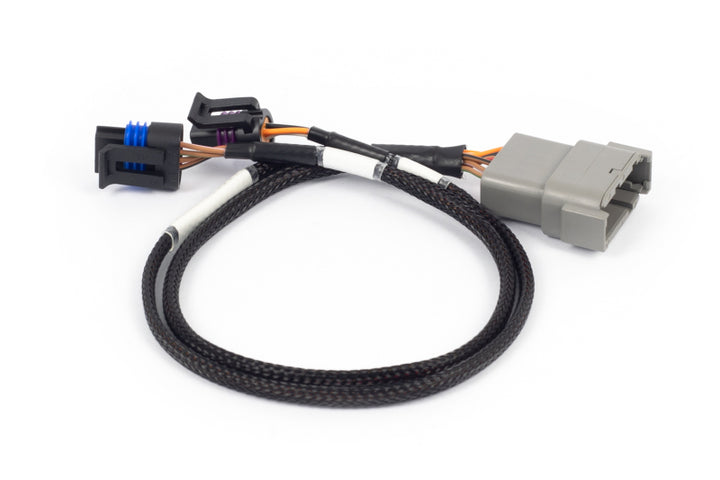 Haltech NEXUS Rebel LS Cable Throttle & IAC Sub-Harness (Plug-n-Play w/HT-186500) - Premium Wiring Harnesses from Haltech - Just 105.05 SR! Shop now at Motors