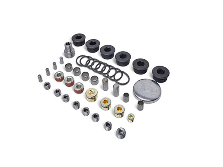 Ford Racing Block Plug and Dowel Kit (For Z Blocks) - Premium Engine Hardware from Ford Racing - Just 732.47 SR! Shop now at Motors