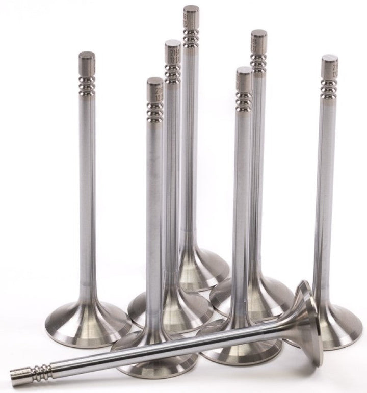 GSC P-D Ford Mustang 5.0L Coyote Gen 3 32mm Head (STD) Chrome Polished Exhaust Valve - Set of 8 - Premium Valves from GSC Power Division - Just 745.47 SR! Shop now at Motors