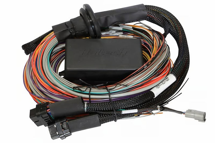 Haltech Universal Elite 2500/2500 T Premium Wire-In Harness - Premium Wiring Harnesses from Haltech - Just 1949.28 SR! Shop now at Motors