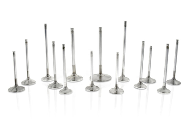 Ferrea Chrysler Big Block 1.6 Head 5/16 Stem Dia 6000 Series Competition Exhaust Valve - Set of 8 - Premium Valves from Ferrea - Just 815.96 SR! Shop now at Motors