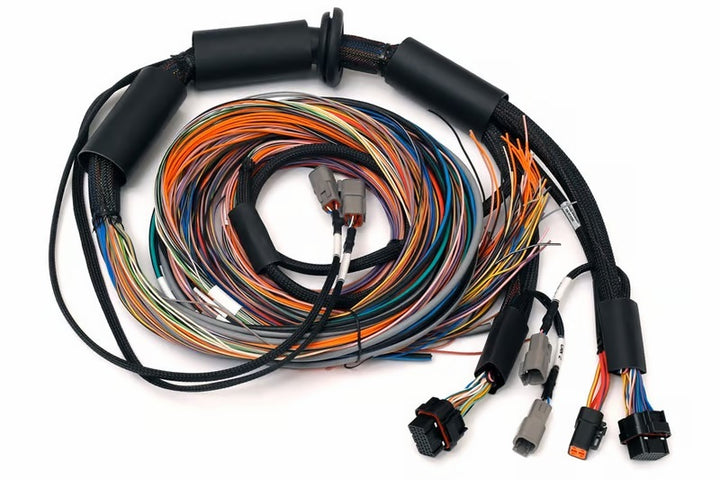 Haltech NEXUS R3 Universal Wire-In Harness - 2.5M (8ft) - Premium Wiring Harnesses from Haltech - Just 1502.34 SR! Shop now at Motors