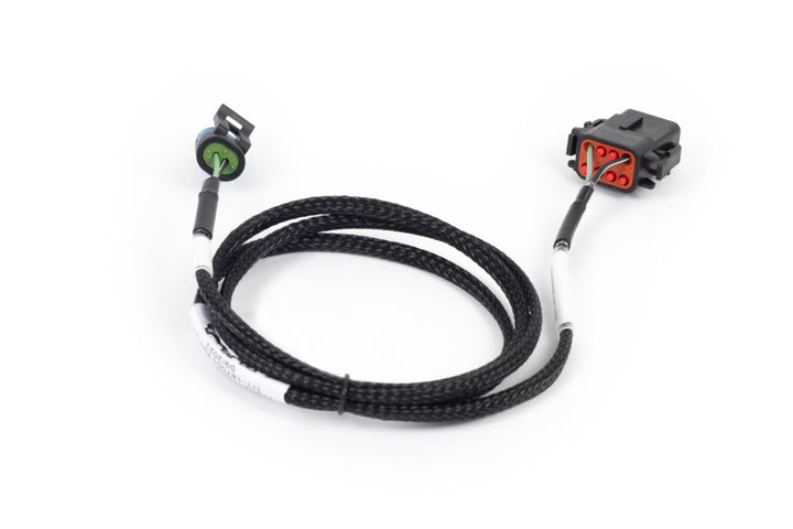 Haltech NEXUS Rebel LS T56 Transmission Harness (Plug-n-Play w/HT-186500) - Premium Wiring Harnesses from Haltech - Just 90.04 SR! Shop now at Motors