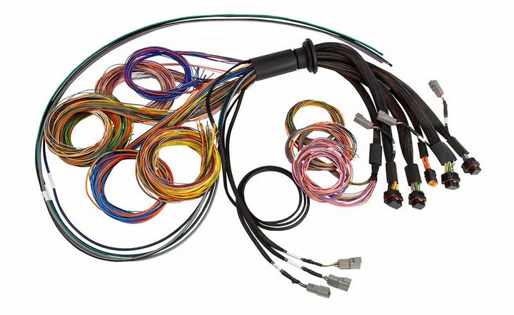 Haltech NEXUS R5 Universal Wire-In Harness - 5M (16ft) - Premium Wiring Harnesses from Haltech - Just 2629.09 SR! Shop now at Motors