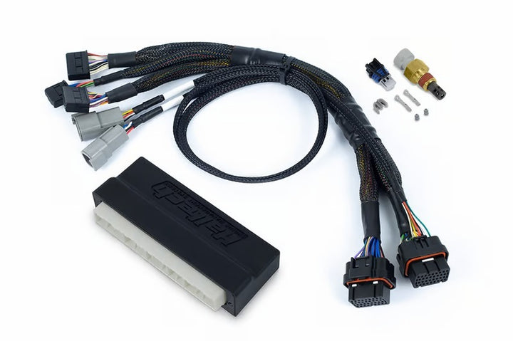 Haltech NEXUS S2/S3 Plug-n-Play Adapter Harness - Premium Wiring Harnesses from Haltech - Just 1856.39 SR! Shop now at Motors