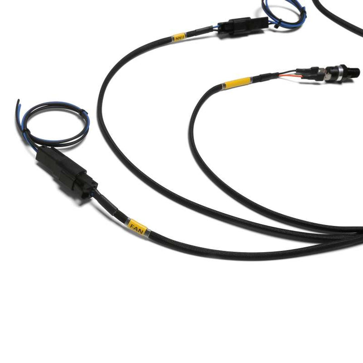 Chase Bays Dual Fan Relay Wiring Harness w/180 Deg F Thermoswitch - Premium Wiring Harnesses from Chase Bays - Just 751.39 SR! Shop now at Motors