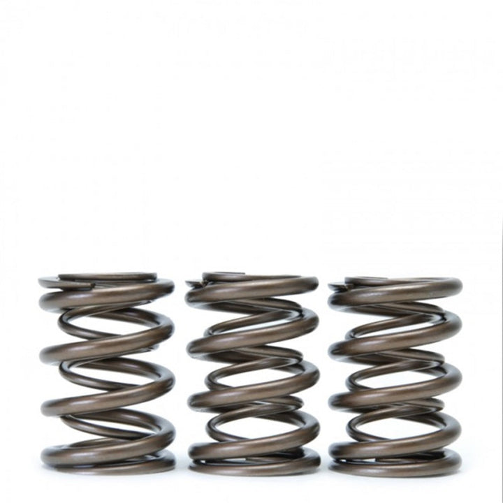 Skunk2 Tuner Series Honda/Acura (H22A/F20B) DOHC VTEC Alpha Valve Spring Set (Dual Springs) - Premium Valve Springs, Retainers from Skunk2 Racing - Just 792.28 SR! Shop now at Motors