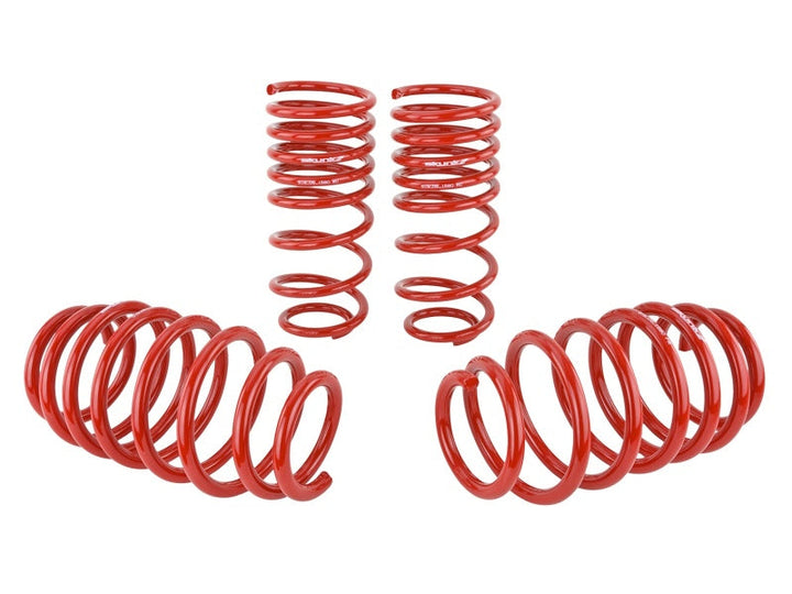 Skunk2 06-09 Honda Civic Lowering Springs (2.25in - 2.00in.) (Set of 4) - Premium Lowering Springs from Skunk2 Racing - Just 750.97 SR! Shop now at Motors