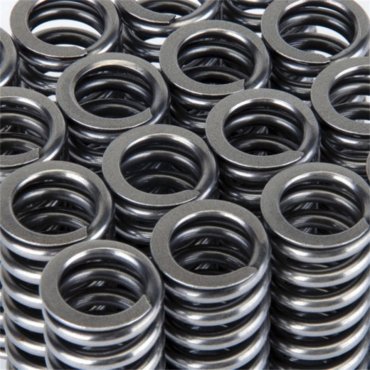 Skunk2 Alpha Series Honda D Series VTEC Valve Spring Set - Premium Valve Springs, Retainers from Skunk2 Racing - Just 630.81 SR! Shop now at Motors