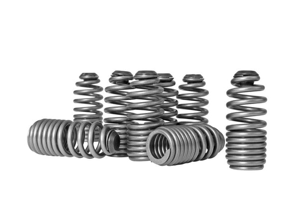 Skunk2 Honda/Acura VTEC B Series Spring Type Lost Motion Assembly Kit - Premium Valve Springs, Retainers from Skunk2 Racing - Just 356.34 SR! Shop now at Motors