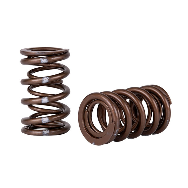 Skunk2 Pro Series Honda/Acura K-Series i-VTEC XP Valve Spring Set (Dual Springs) - Premium Valve Springs, Retainers from Skunk2 Racing - Just 1380.75 SR! Shop now at Motors