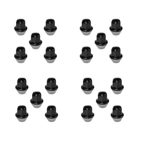 Ford Racing 15-18 Mustang Black Lug Nut Kit (20 Lug Nuts) - Premium Lug Nuts from Ford Racing - Just 731.32 SR! Shop now at Motors