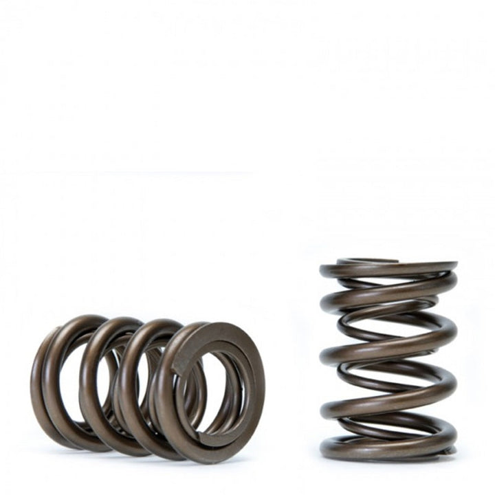 Skunk2 Tuner Series Honda/Acura (H22A/F20B) DOHC VTEC Alpha Valve Spring Set (Dual Springs) - Premium Valve Springs, Retainers from Skunk2 Racing - Just 792.28 SR! Shop now at Motors