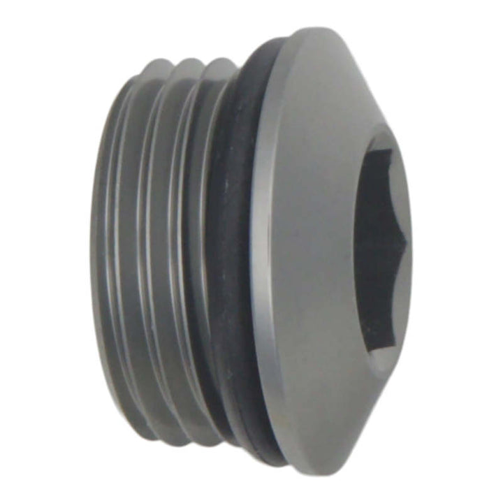 DeatschWerks 10AN ORB Male Plug Low Profile Internal Allen/Hex (Incl. O-Ring) - Premium Fitting Caps from DeatschWerks - Just 22.52 SR! Shop now at Motors